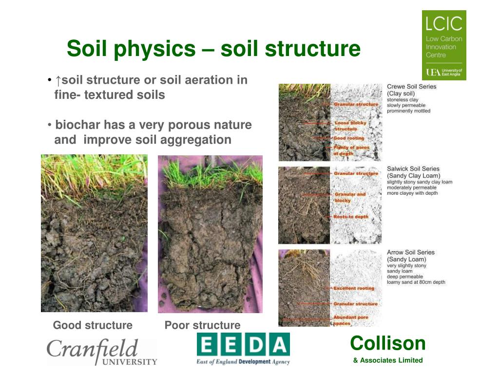 Различие почв бесструктурные. Soil structure. Структура почвы. Бесструктурная почва. Structure of the Soil profile.