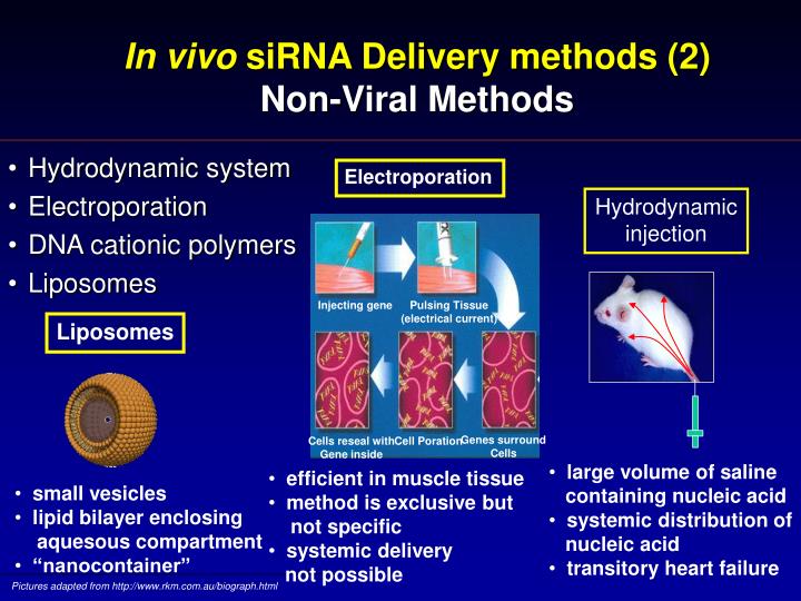 PPT - Manipulating Acquired Immunity through Gene Silencing PowerPoint ...