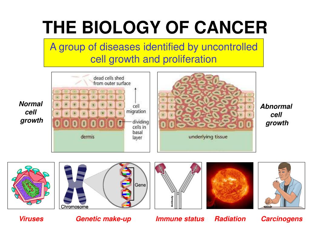 cancer biology phd mit