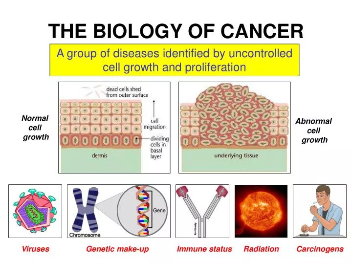 the biology of cancer n.