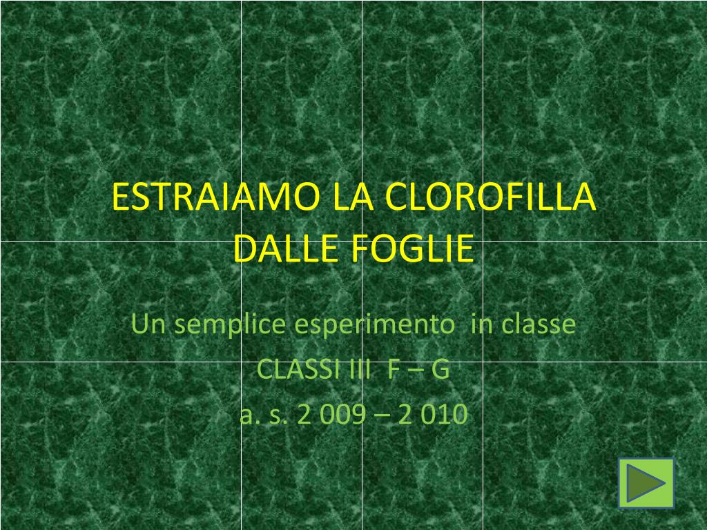 PPT - ESTRAIAMO LA CLOROFILLA DALLE FOGLIE PowerPoint Presentation, free  download - ID:629457
