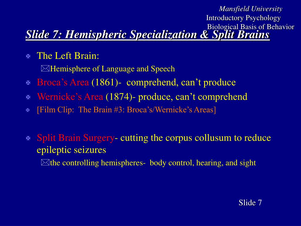 Slide 1 : Biological Basis of Behavior PowerPoint Presentation ... Biology Diagrams