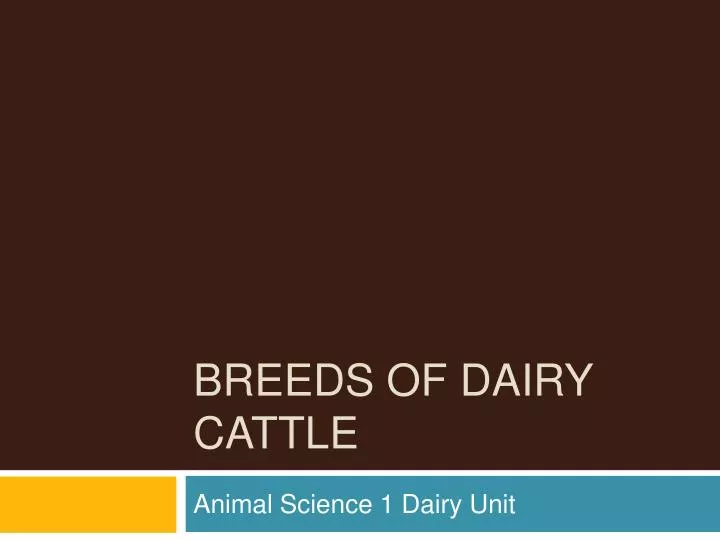 breeds of dairy cattle n.