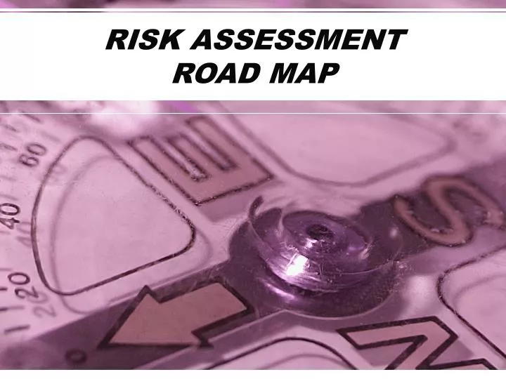 risk assessment road map n.
