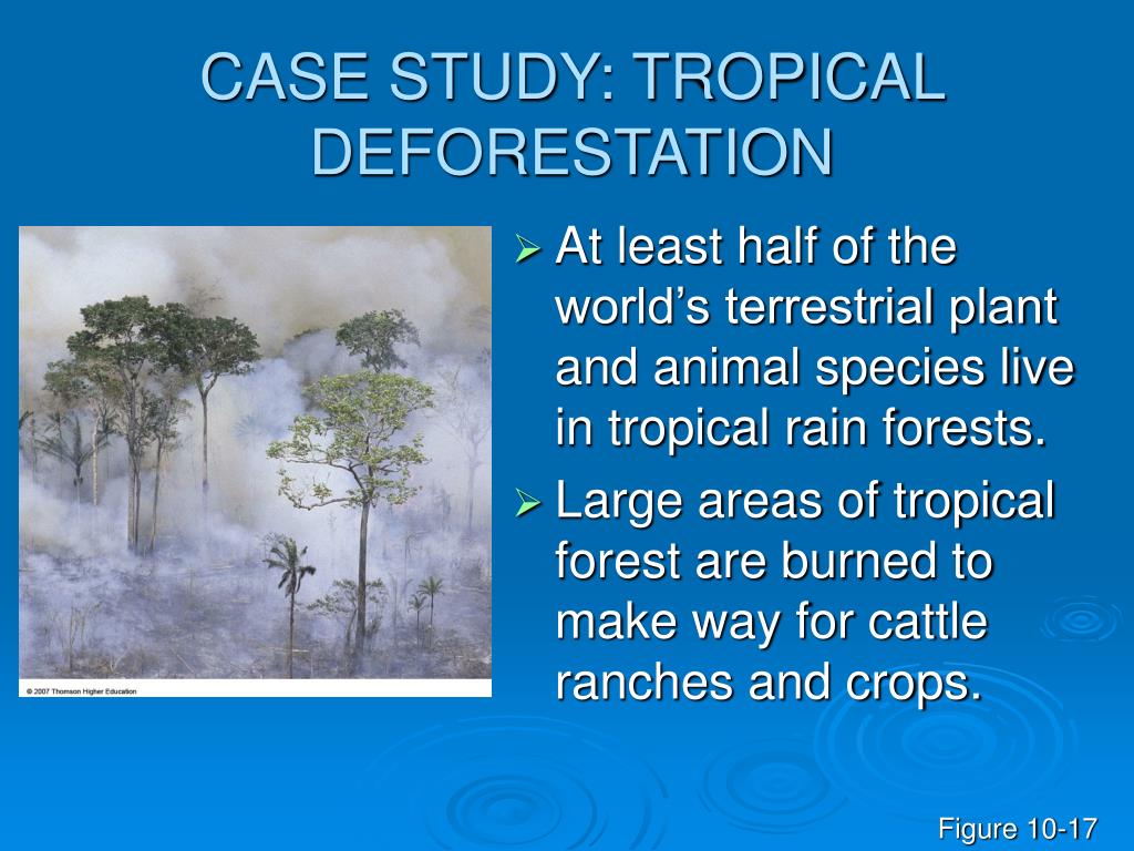 a case study on deforestation