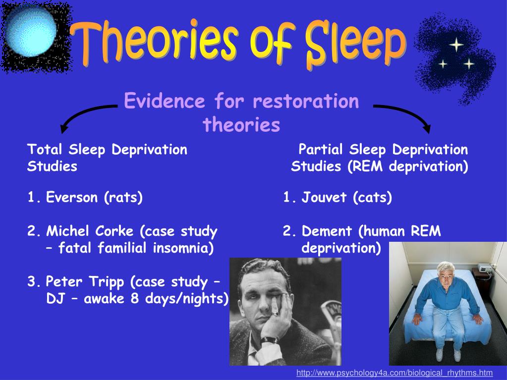 psychology sleep assignment