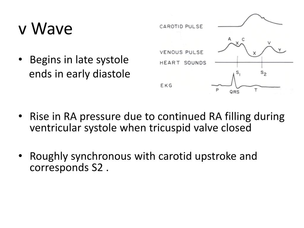 Ppt Jugular Venous Pressure And Waveforms Powerpoint