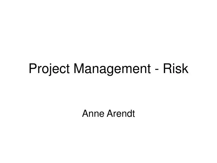 project management risk n.