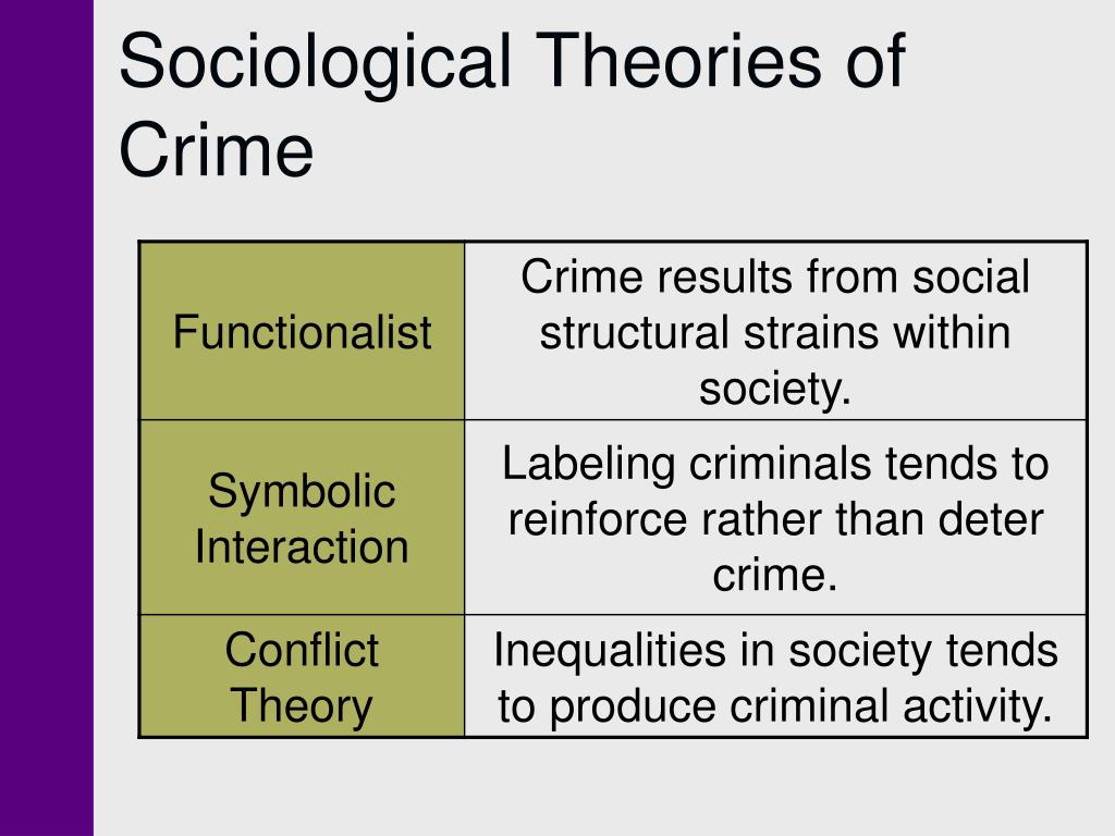 sociological theories of crime essays