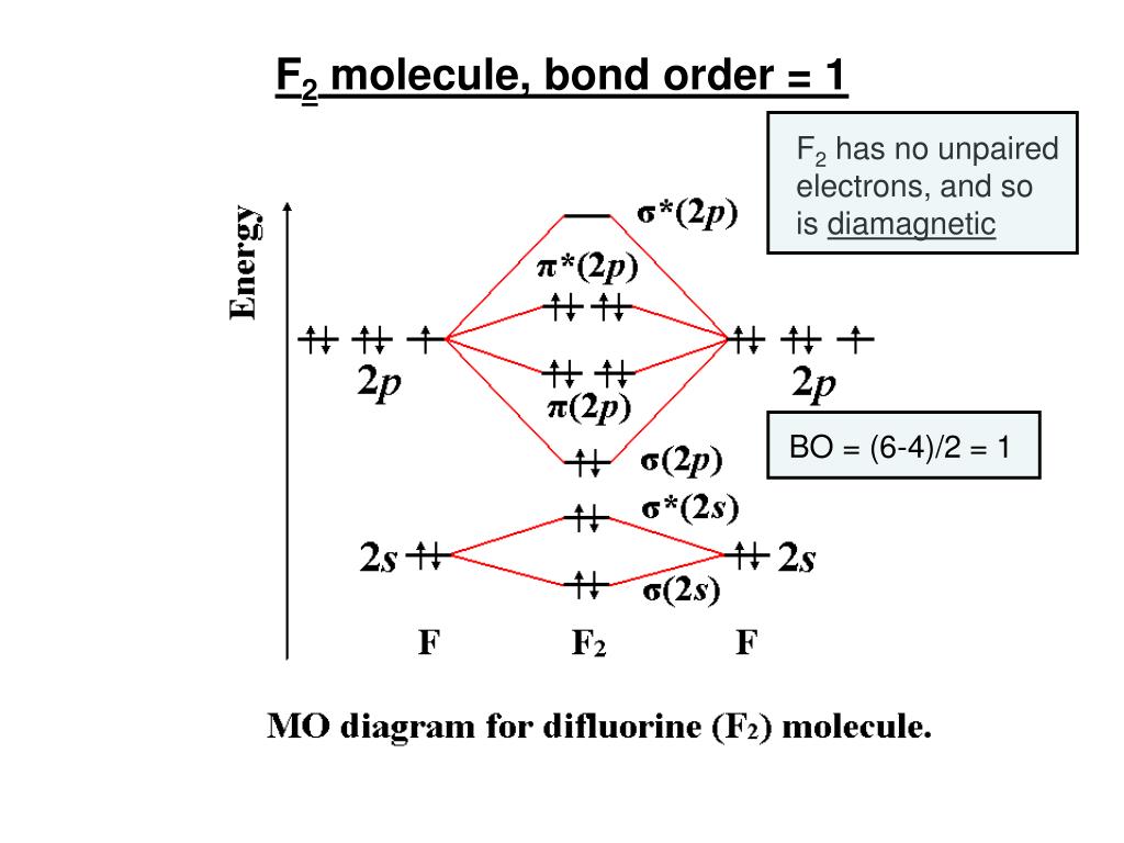F2 2 Molecular Orbital Diagram Wiring Diagram
