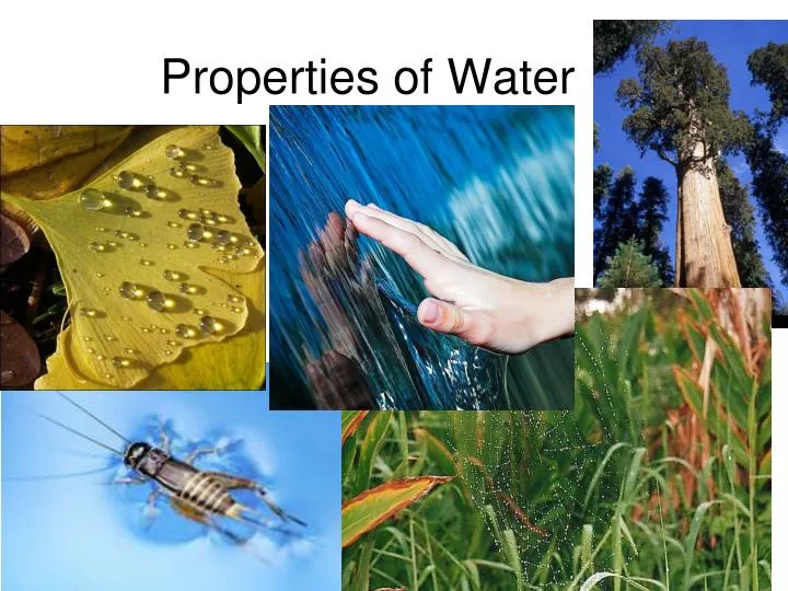 properties of water powerpoint presentation