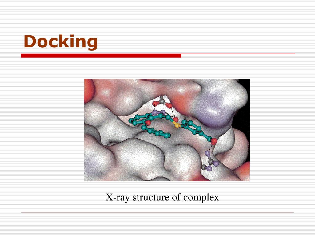 PPT CADD and Molecular Modeling Importance in Pharmaceutical