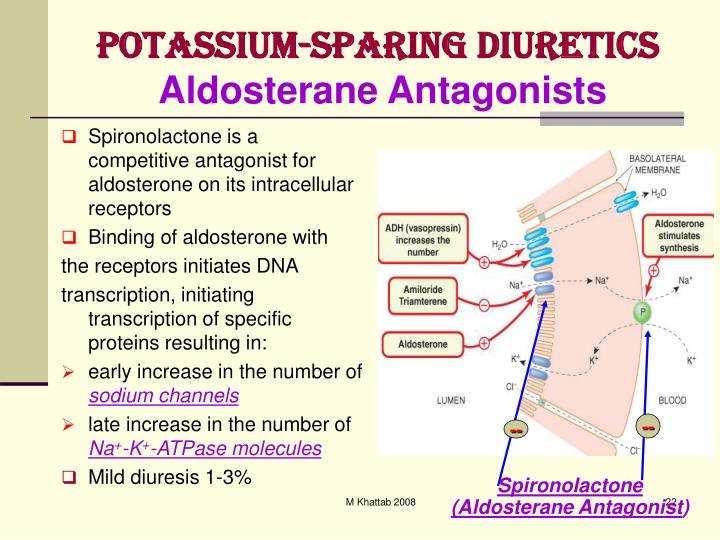PPT - Diuretics From Diuresis to Clinical Use PowerPoint Presentation ...