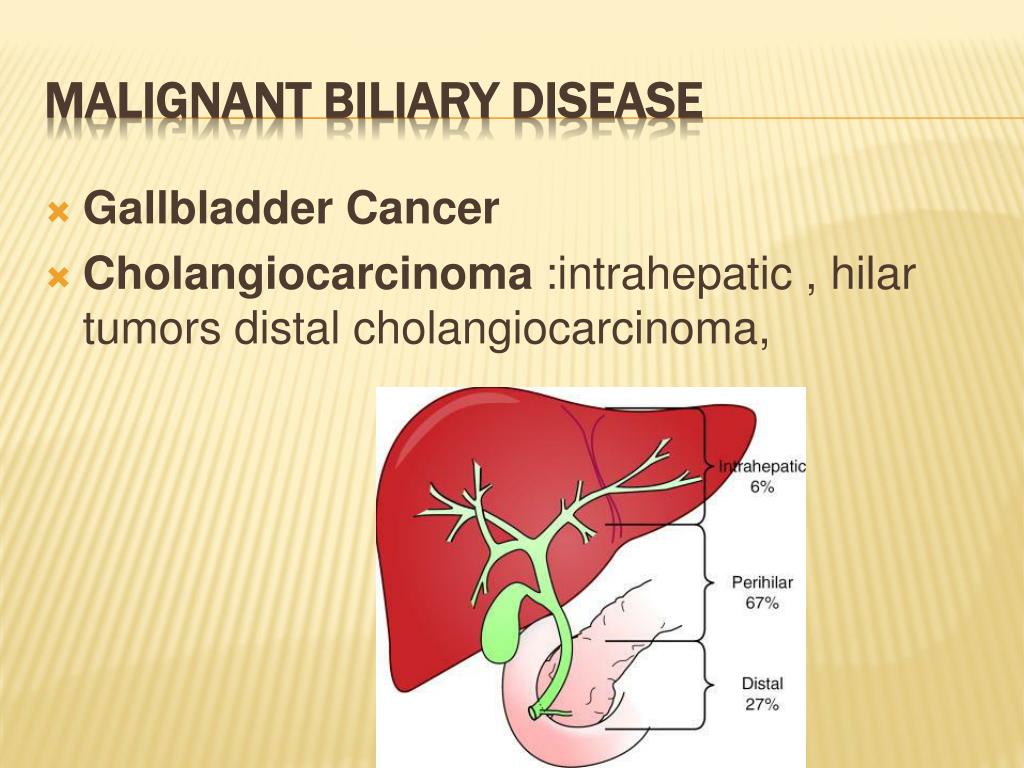 PPT - biliary system PowerPoint Presentation - ID:641079