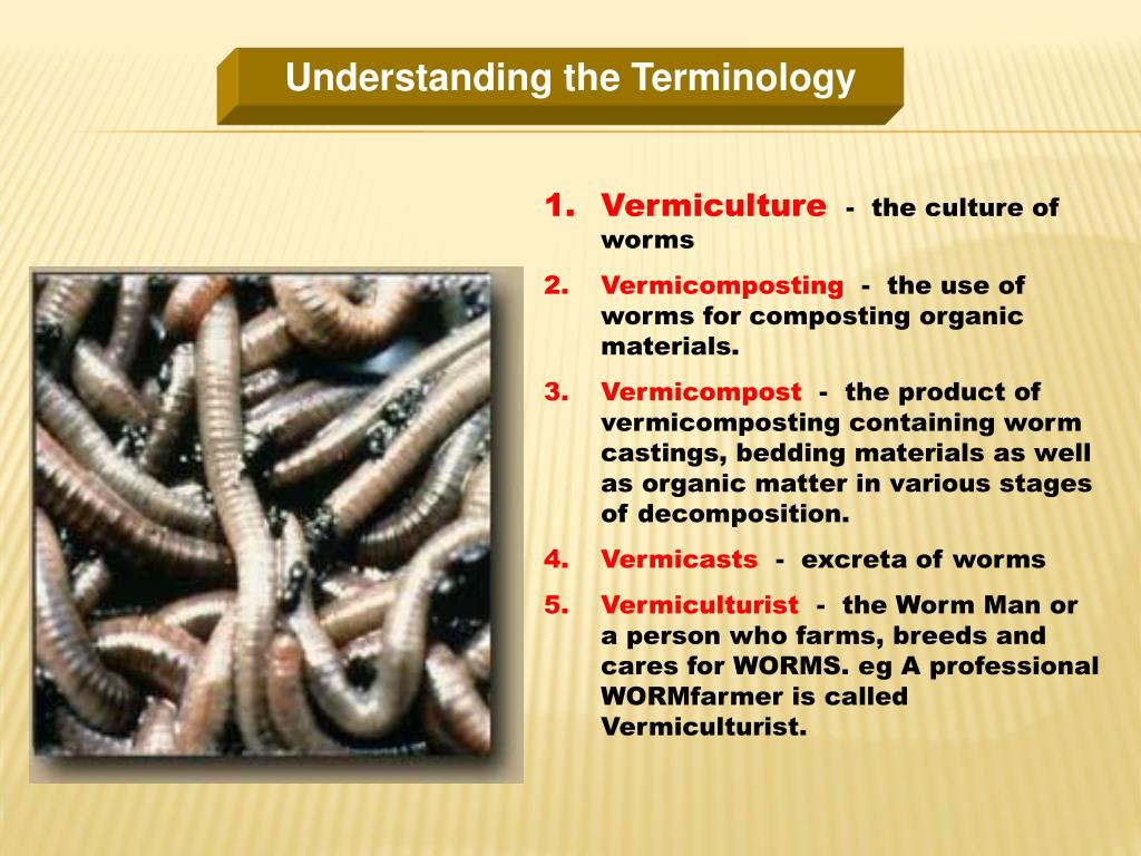 literature review vermiculture
