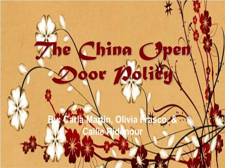 the china open door policy n.