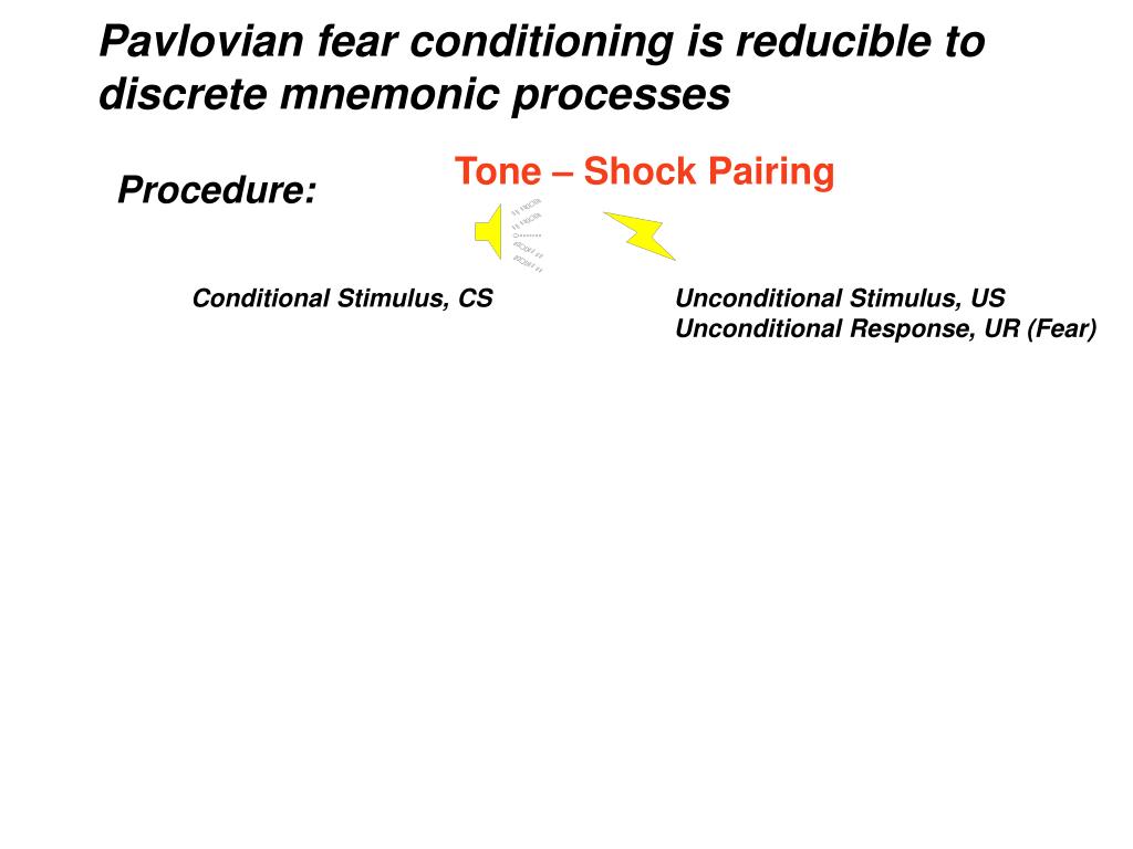 Pavlovian conditioning. Unconditional stimulus. Процедура pair. Conditioning process