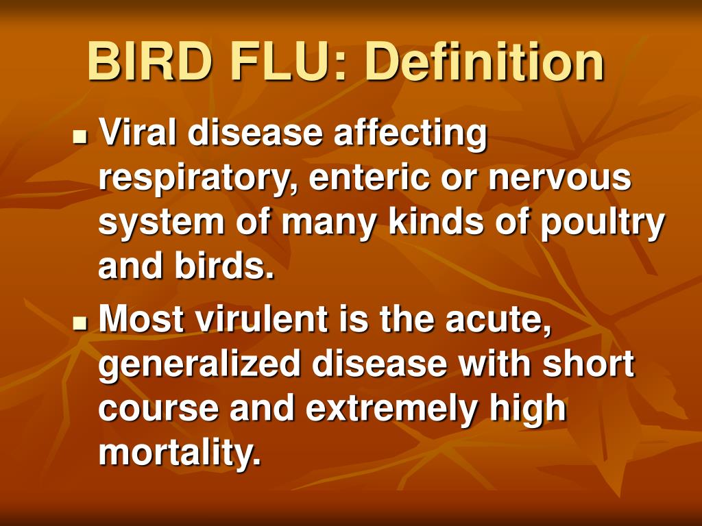 PPT BIRD FLU PowerPoint Presentation Free Download ID 647857