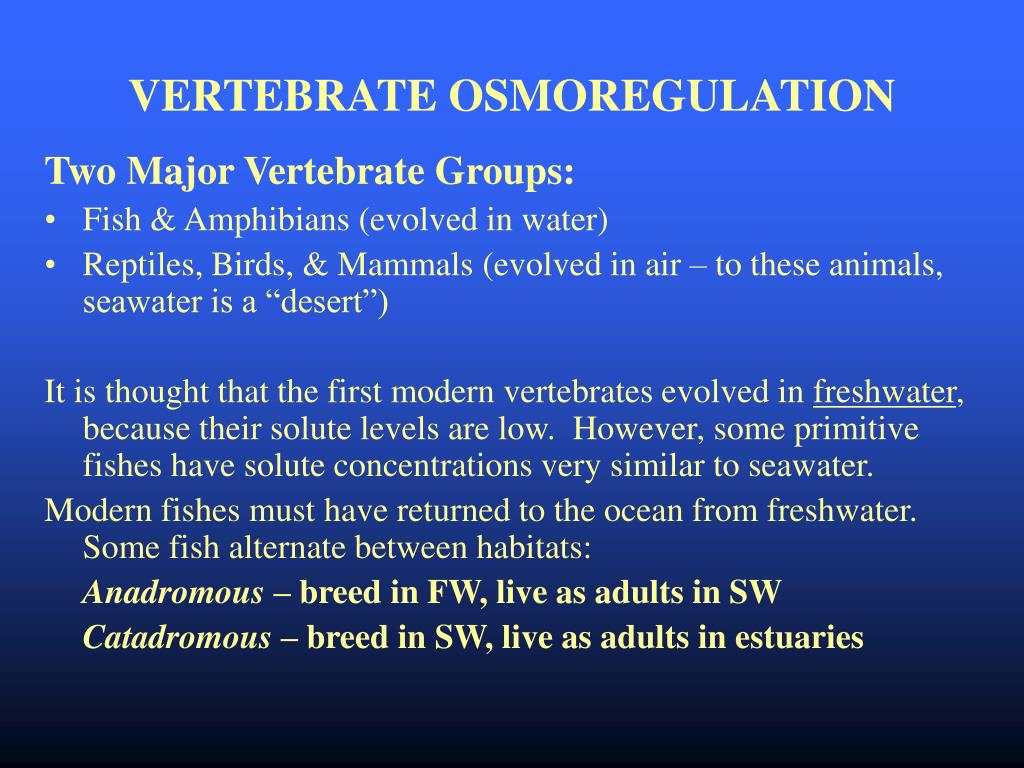 PPT - BIOLOGY 457/657 PHYSIOLOGY OF MARINE & ESTUARINE ANIMALS PowerPoint  Presentation - ID:64981