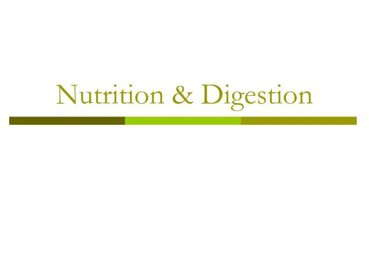 nutrition digestion n.