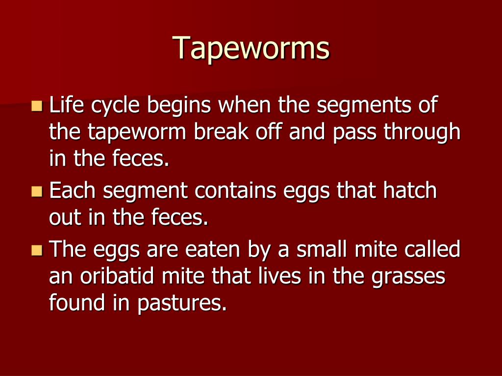 PPT Parasites PowerPoint Presentation, free download ID650853