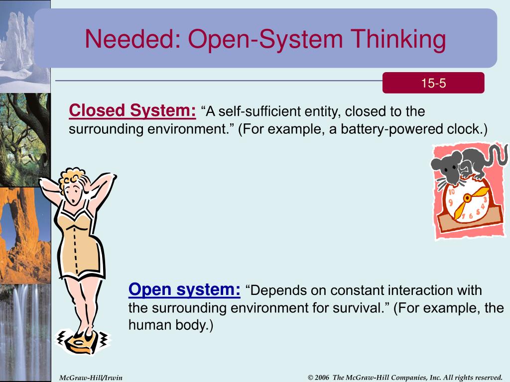 PPT Describe The Four Characteristics Common To All Organizations 