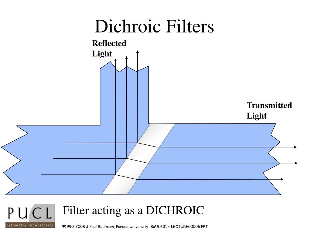PPT BMS 631 LECTURE 6 Flow Cytometry Theory Optics Filter