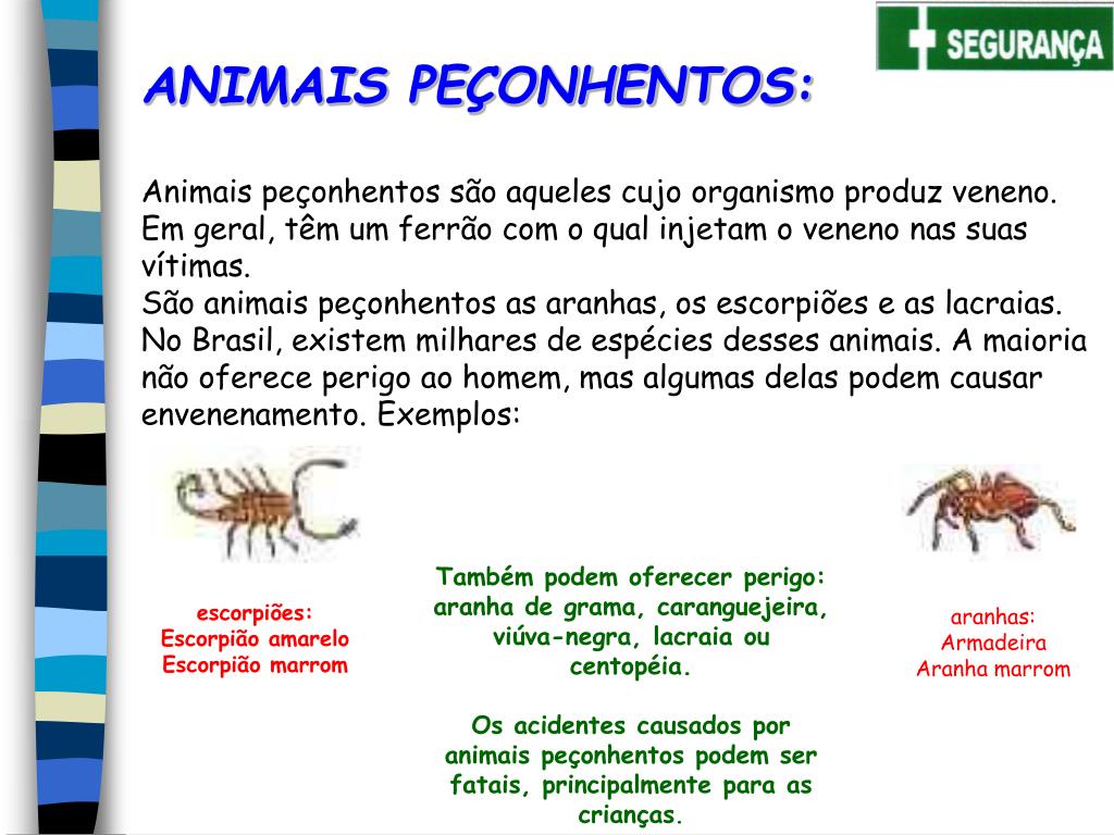 Como evitar animais peçonhentos: faça o quiz e aprenda