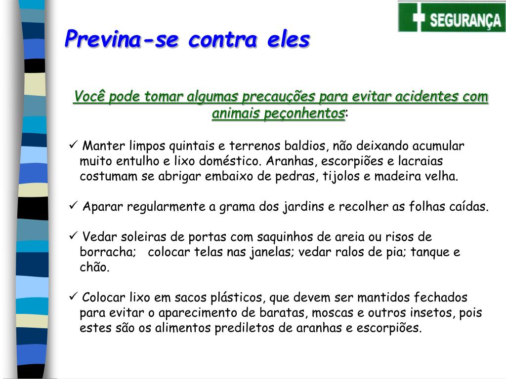 Como evitar animais peçonhentos: faça o quiz e aprenda