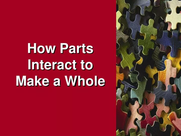 how parts interact to make a whole n.