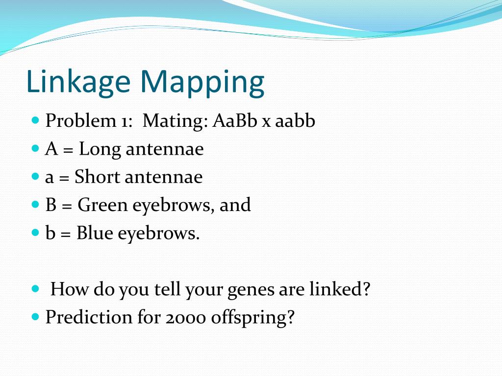 PPT Linkage Mapping PowerPoint Presentation, free download ID655753