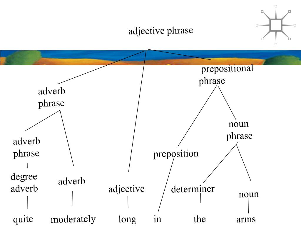 ppt-the-structure-of-adjective-phrases-powerpoint-presentation-free-download-id-656972