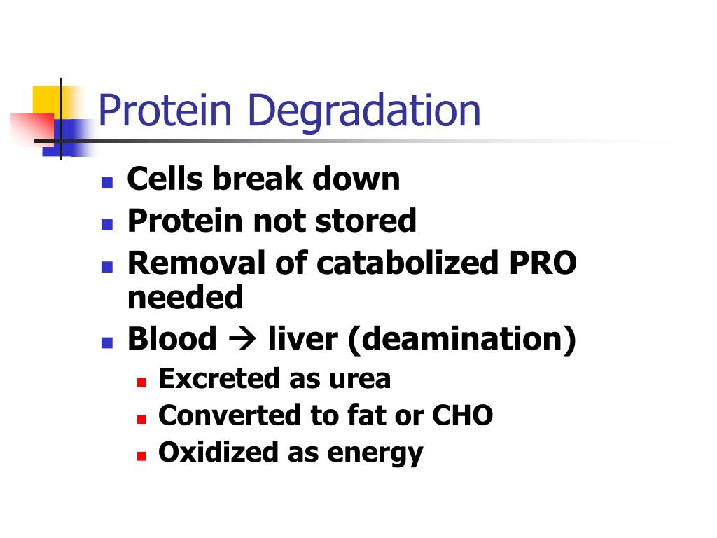 PPT Protein & Amino Acids PowerPoint Presentation, free download ID
