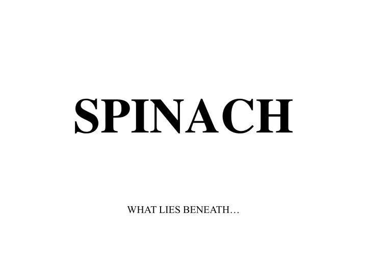 spinach n.