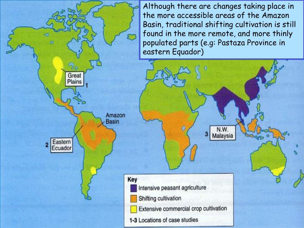 PPT - Shifting cultivation Higher Rural Geography PowerPoint 