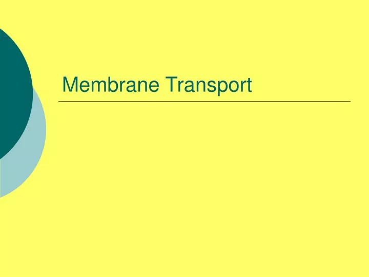 membrane transport n.