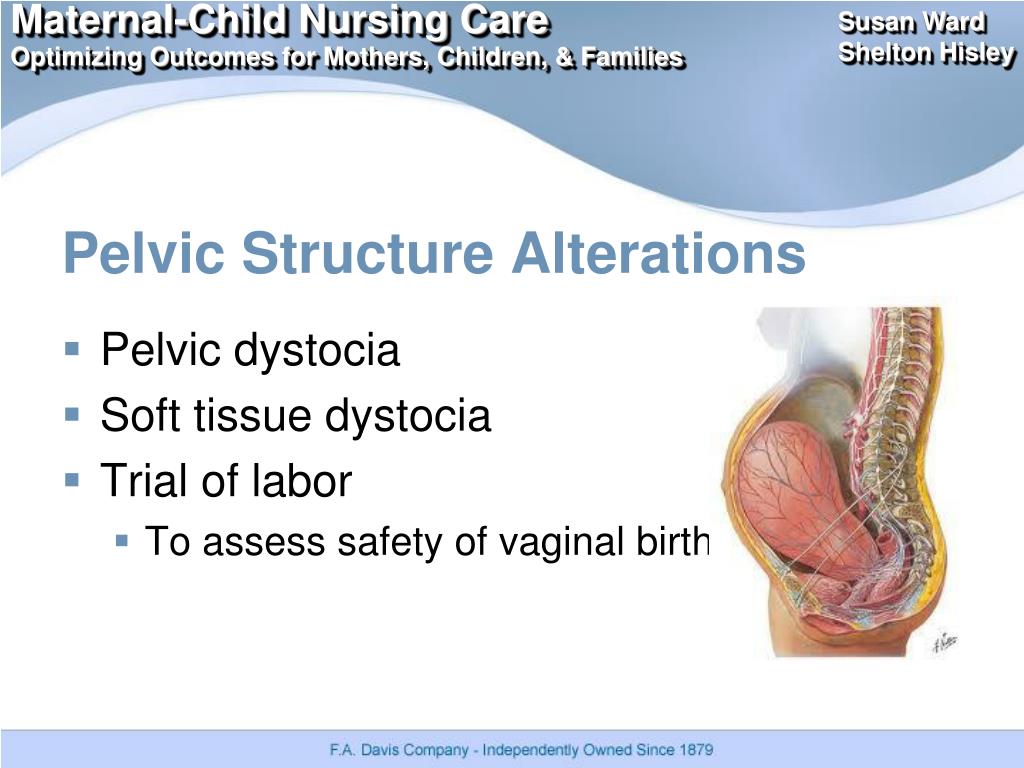 what is the pelvic presentation