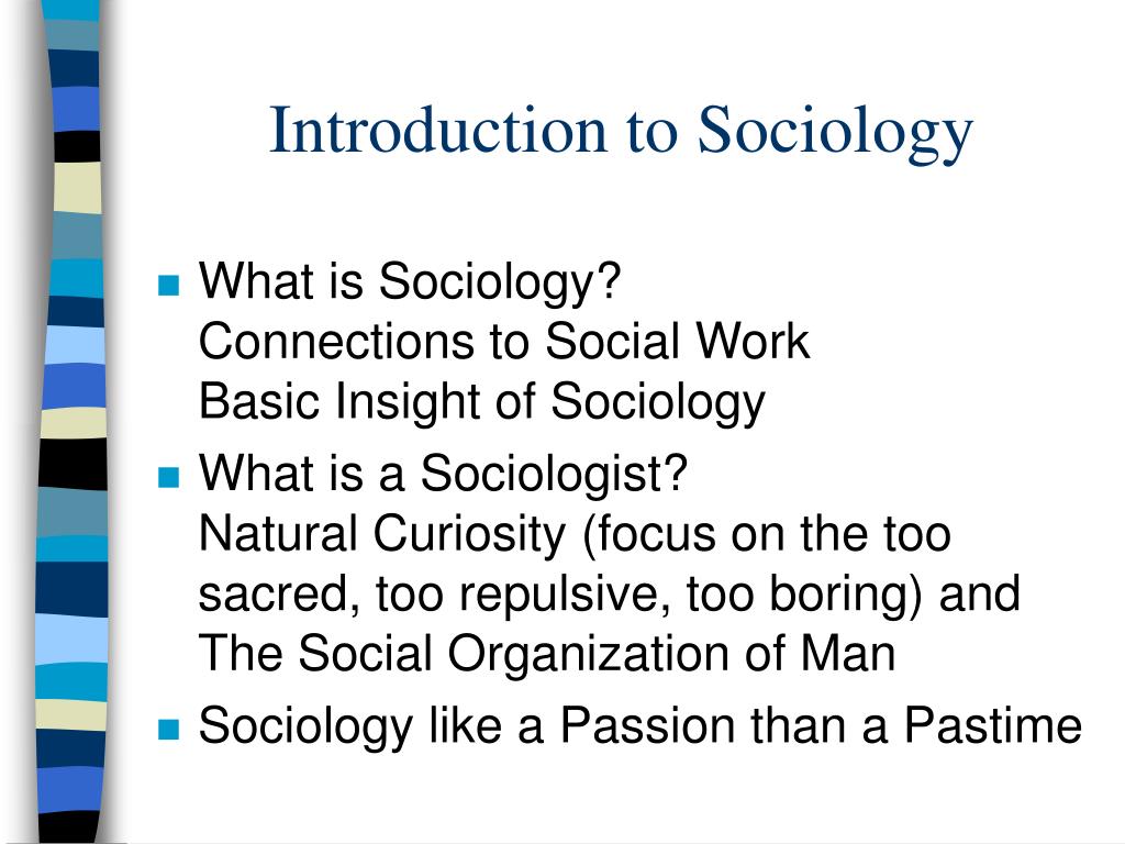 introduction for sociology assignment