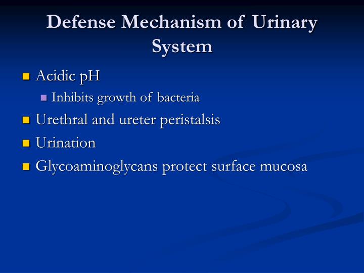 Urinary Defense PPT - Diseases of the Urinary System PowerPoint Presentation - ID:660941