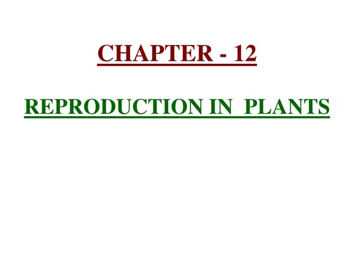 PPT - CHAPTER - 12 REPRODUCTION IN PLANTS PowerPoint Presentation, free  download - ID:661098