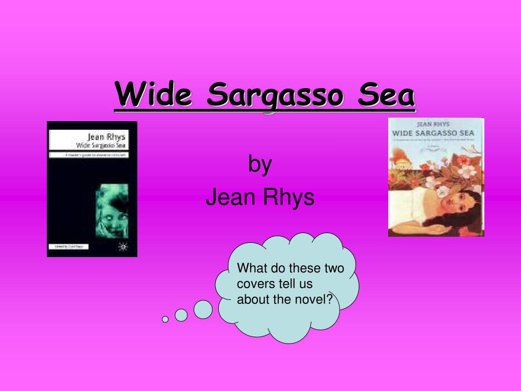 wide sargasso sea essay
