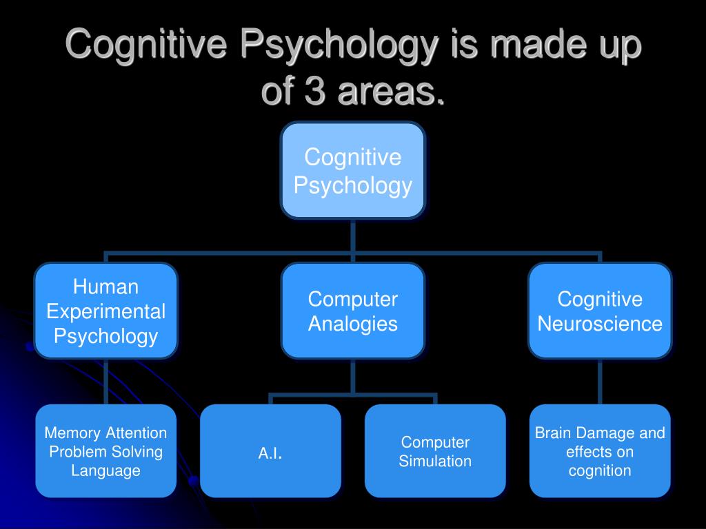 principal research areas of cognitive psychology