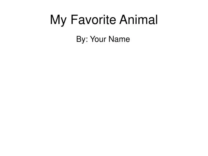 my favorite animal n.