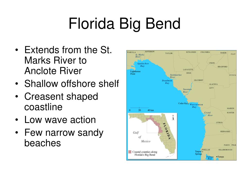 PPT Florida by Fay, Liz, & Marcela PowerPoint Presentation, free download ID663562