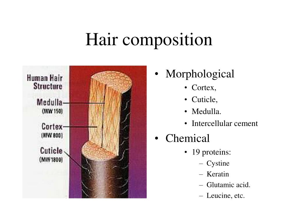 PPT - Hair conditioner PowerPoint Presentation, free download - ID:664228 PPT - Hair conditioner PowerPoint Presentation, free download - ID:664228