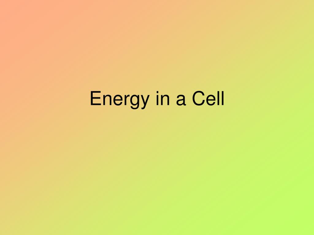 Ppt Energy In A Cell Powerpoint Presentation Free Download Id665125