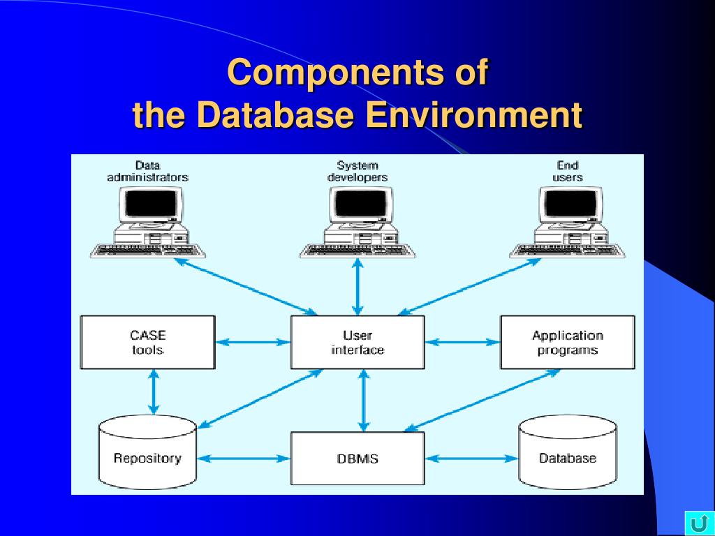 PPT - THE DATABASE ENVIRONMENT PowerPoint Presentation, free download ...