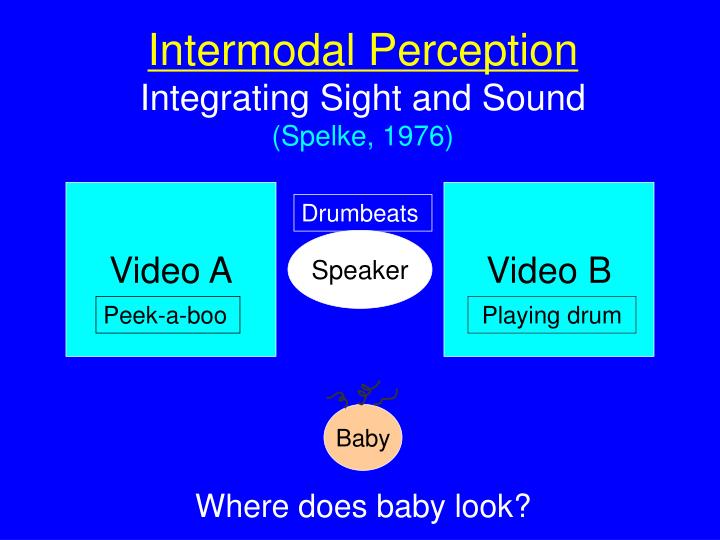 intermodal perception definition magdalene project org intermodal perception definition