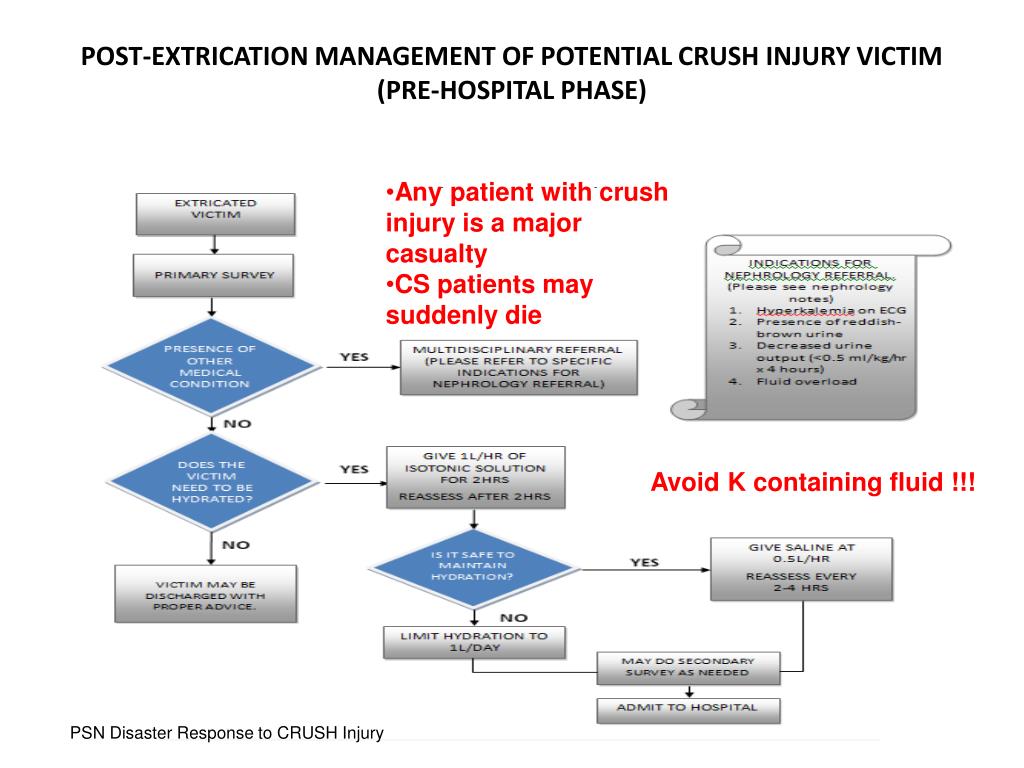 PPT LEARNING FROM DISASTERS (Focus on Nephrology Experience on Crush