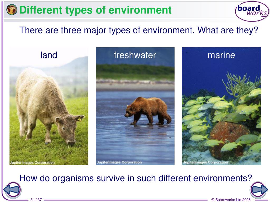 PPT - Different types of environment PowerPoint Presentation, free